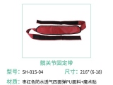 海绵丝瓜黄色网站视频有什么特点？